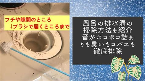 排水溝 風水|風水で悪い運気を排除！排水溝掃除は徹底的に 